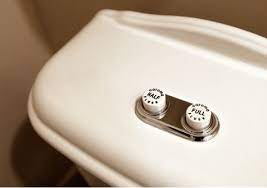Bath Caroma Dual Flush Colonial Toilet Remodelista Caroma Dual Flush Toilet Flush
