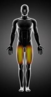 Hyperglycémie, fatigue, soif, signes tardifs, etc. Que Faire En Cas De Douleur Qui Irradie Dans La Fesse Et La Cuisse Docteurclic Com