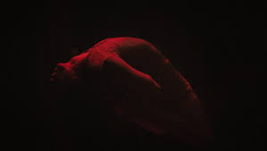 The night house (2021) here are review links for this film submitted by our members: Ygsa98jb 6dcem