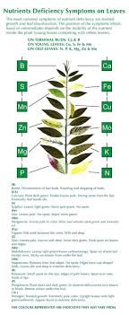 Maybe you would like to learn more about one of these? Clematis Cottage Nursery Home Facebook