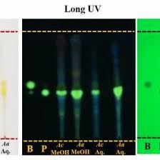 Image result for Annickia lebrunii