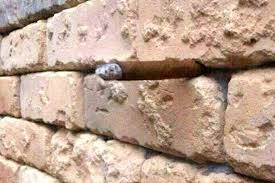 Image result for illusion pictures