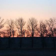 Frosted beauty Photograph by Sharon Blunt