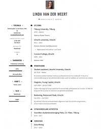 Studenten Cv Voorbeeld Met Tips Download In Word Pdf