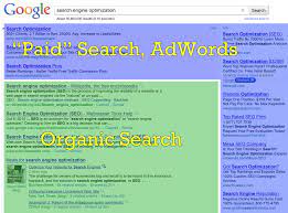 Need to do a little online detective work? How Organic Search Engine Optimisation Can Save You Time Stress And Money