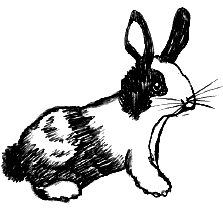 Dessin animé le sapin de noël comptine. Dessin Lapin Nain Noir Et Blanc Moose Art Illustration Art