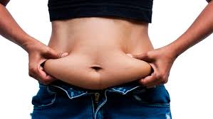 Image result for fat
