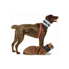 Maybe you would like to learn more about one of these? Bite Not Collar Walmart Cheap Buy Online