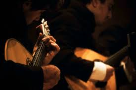 Image result for Fadogiella