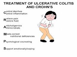 Inflammatory Bowel Dz Ibd Diagram Quizlet