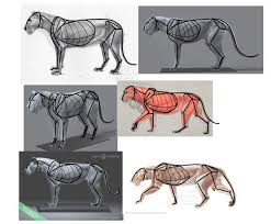 Try and find as many pictures as you can of the animal in the position you want. Sketchbook Original How To Draw From Imagination Part 3 Monika Zagrobelna