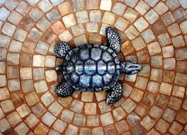 10+ decorative drain cover ideas