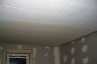 How To Get Water Stains Out Of Ceiling Panels Home Ceiling Mobile Home Remodeling Mobile Homes