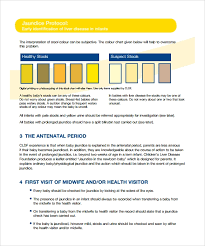 free 7 sample stool color charts in pdf