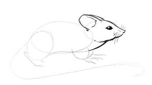 Black marker (crayon) [ read: Learn To Draw A Mouse Exercise With Simple Shapes Video