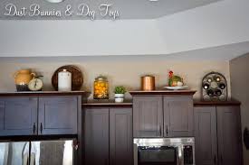 Check spelling or type a new query. Kitchen Cabinet Top Decor Dust Bunnies And Dog Toys