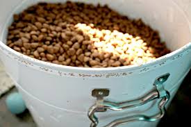 Ants won't turn their noses up at leftover pet food or food waste either, so wash up your pet bowls straight after feeding time and take out your rubbish regularly, keeping bin lids tightly shut at all times. How To Get Ants Out Of Pet Food And Keep Them Out