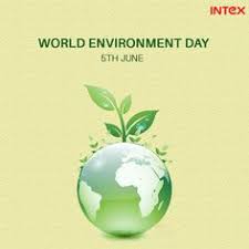 Environment day is set aside not just as a public education effort, but it is also a way for conservationists and advocates for the while the debate may still go on about alternative fuels and recycling, the fact remains that what we do have needs to be conserved and preserved to even allow. 56 World Environment Day Ideas World Environment Day Environment Day Environment