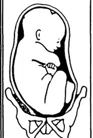 The course of pregnancy affects the tactics and. Fetal Positioning Flashcards Quizlet