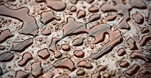 Der regenwald hat eine besonders hohe luftfeuchtigkeit, weil so viel wasser verdunsten kann. Luftfeuchtigkeit Im Keller Grenzwerte Kontrollieren