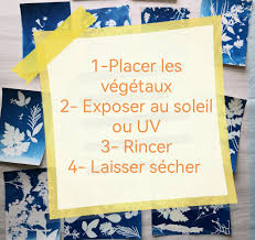 DIY Solar Printing Kit, Cyanotype Solar Kit With Photosensitive Sheets,  Creative Kit, Gift Idea.