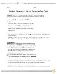 File type pdf mouse genetics two traits gizmo answer key. What Is The Genotype Of The Offspring Mice