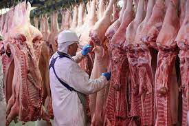 Check spelling or type a new query. How Many Animals Are Killed Each Year