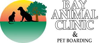 This is a tampa bay area first five counties are teaming from www.pinterest.com. Welcome