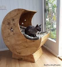 30 Tutoriels De Lit De Chat Bricolage Pour Votre Felin A Fourrure 30 Tutoriels De Lit De Chat Bricolage Pour Votre Fel 2020 Palet Tahtasi Hayvan Projeleri Hayvan