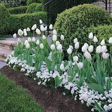 Garden gate magazine, and garden gate store. Mass Plantings Garden Gate Enotes Yard Pinterest Na Stylowi Pl