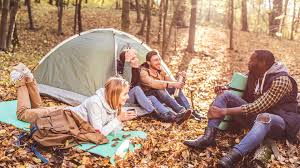 Set this game up at your campsite next to your cooler. 70 Camping Statistics 2020 2021 Industry Trends