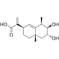 Image result for Laggera crispata