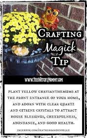 The flower of this plant. Crafting Magick Tip Chrysanthemums Magick Eclectic Witch Witchy Crafts