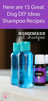 15 Homemade Dog Shampoo Recipes Homemade Dog Shampoo Dog Shampoo Recipe Dog Shampoo Diy Recipes