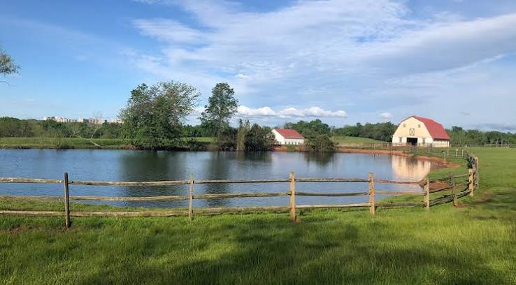 Home | Poplar Spring Animal Sanctuary