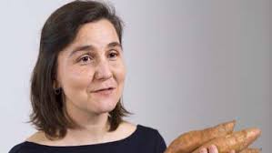 Mercator Program Report 2021