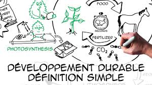 Перевод с французского языка tenants et aboutissants на русский. Developpement Durable Definition Simple Scientifique My Mooc