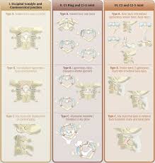 Image result for Subaxial Injury Classification Scale