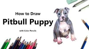 We did not find results for: How To Draw A Pitbull Puppy With Color Pencils Time Lapse Youtube