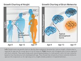 Could A Brain Growth Chart Spot Attention Problems Early