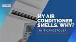 Skunk, vomit, fish, or sewage when these smells come from your air conditioner, it most likely indicates that you have a gas leak in your hvac system. My Air Conditioner Smells Is It Dangerous Texas Air Repair