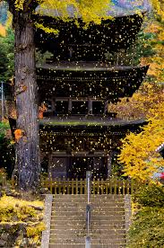 イチョウ吹雪 By Aniki03 Id 2196621 写真共有サイト Photohito