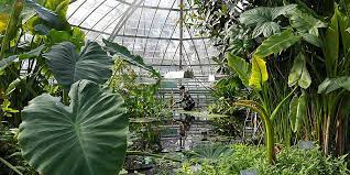 Botanical gardens brookgreen gardens is the floral jewel of south carolina's coast. Botanischer Garten Universitat Basel