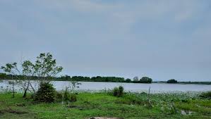 Bhd., a leading oil and gas company in malaysia.14. Fishlink Worldwide Sdn Bhd Home Facebook