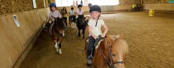 For travelers visiting bangkok, pas cher hotel de bangkok is an excellent choice for rest and rejuvenation. Centre Equestre Bayard Ucpa Paris 12eme Arrdt