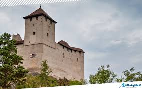 Image result for Gutenbergia kassneri