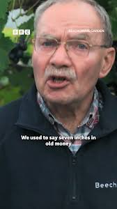 A fun task to try with your hard wood cuttings., Watch Beechgrove Garden