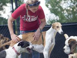 We love pets derby provide dog walkers, licensed dog home boarding, and pet sitters for all types of pets including cats, small animals, reptiles, birds, and more! Western Ny S Best Dog And Cat Boarding Dog Daycare Luxury Pet Resort