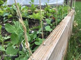 We did not find results for: How To Build A Trellis For Your Vegetable Garden Gf Video