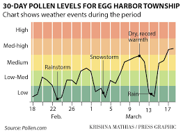 Get Ready For Another Severe Pollen Season Local News